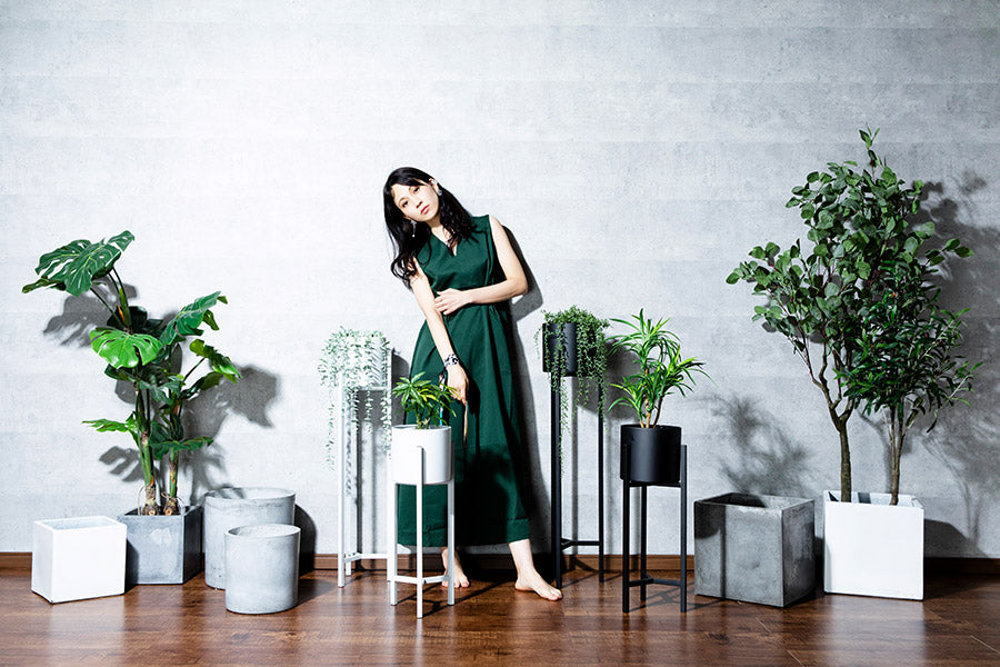 Musou Furniture Musou Furniture
